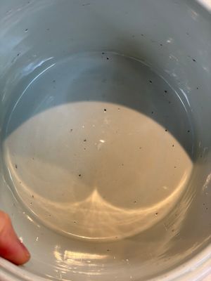 A Chinese blue and white 'Landscape' tripod censer — photo 6