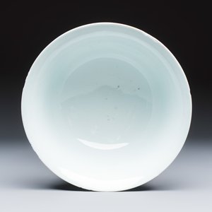 A Chinese blue and white 'Lotus' bowl — foto 6