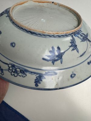 A Chinese blue and white 'Lotus Pond with Ducks' dish — 照片 15