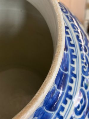 A Chinese blue and white 'lotus scroll' vase, Kangxi — 照片 8