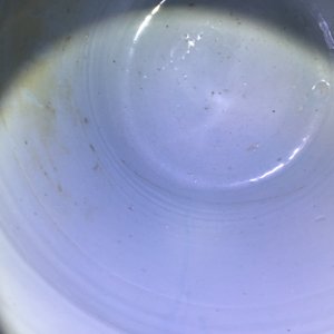 A Chinese blue and white lotus scroll vase, Ming, Wanli — photo 20