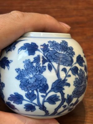 A Chinese blue and white mustard jar and cover with floral design, Kangxi — 照片 11