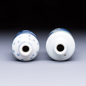 A Chinese blue and white 'Mythical Animals' snuff bottle and a 'Buddhist Lions' snuff bottle — photo 5