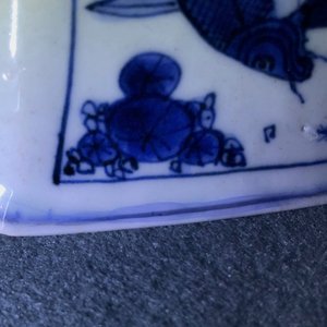 A Chinese blue and white octagonal bowl with various fish, Wanli — photo 13