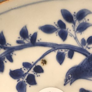 A Chinese blue and white plate with birds in a garden, Shunzhi, Transitional period — photo 5