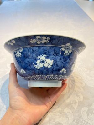 A Chinese blue and white 'Prunus on Cracked Ice' bowl, lingzhi mark, Kangxi — photo 3