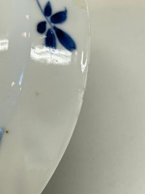 A Chinese blue and white 'Sense of Smell' plate and an 'Amorous Shepherds' plate, Kangxi — photo 24