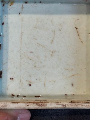 A Chinese blue and white square 'lotus scroll' box and cover, Qianlong — photo 18