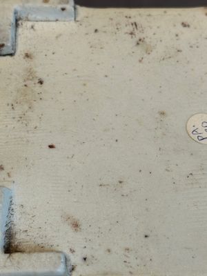A Chinese blue and white square 'lotus scroll' box and cover, Qianlong — photo 25