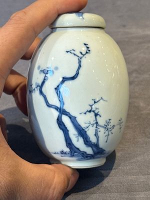 A Chinese blue and white tea caddy and cover with a lady and playing boys, Kangxi — 照片 3