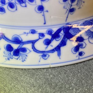 A Chinese blue and white 'Three friends of winter' bowl, Kangxi mark and of the period — 照片 20