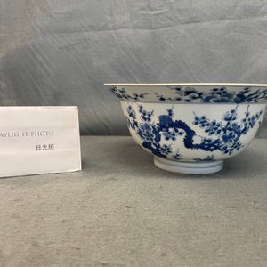 A Chinese blue and white 'Three friends of winter' bowl, Kangxi mark and of the period — 照片 9