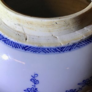 A Chinese blue and white 'Three friends of winter' jar, Kangxi — photo 8