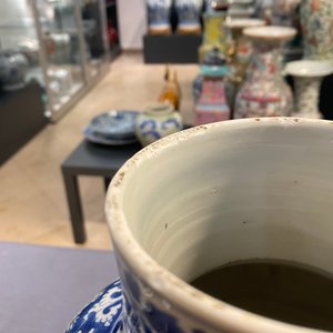 A Chinese blue and white vase and cover with floral design, Kangxi — 照片 30