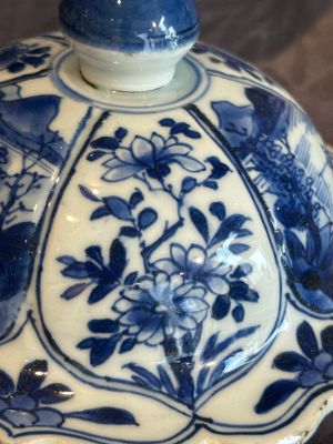 A Chinese blue and white vase and cover with landscapes and flowers, Kangxi — photo 8