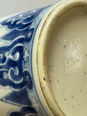 A Chinese blue and white vase with floral design, Kangxi — foto 10