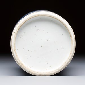 A Chinese blue and white vase with floral design, Kangxi — foto 6