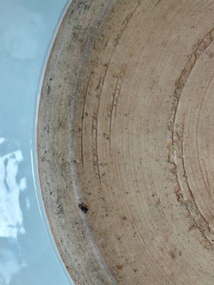A Chinese blue and white 'Xi Xiang Ji' basin, Yongzheng — 照片 9