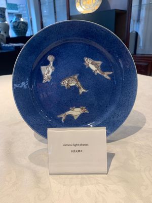 A Chinese blue, white and copper-red powder-blue-ground 'fish' dish, Kangxi — photo 1