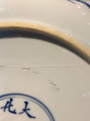 A Chinese blue, white and copper-red powder-blue-ground 'fish' dish, Kangxi — photo 11