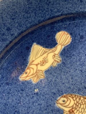 A Chinese blue, white and copper-red powder-blue-ground 'fish' dish, Kangxi — photo 6