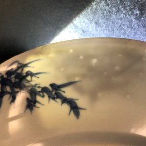 康熙 花卉蓝白红瓷盘 — 照片 5