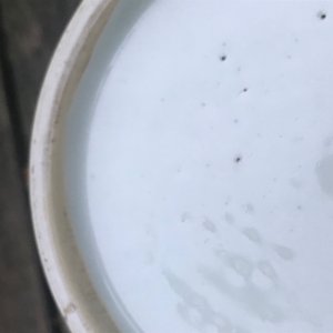 A Chinese blue, white and underglaze red yuhuchunping vase, Qianlong — 照片 37