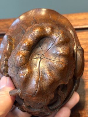 A Chinese carved bamboo 'lotus' libation cup, 17/18th C. — 照片 11