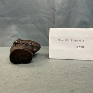 A Chinese carved horn libation cup, Jiaqing — 照片 11