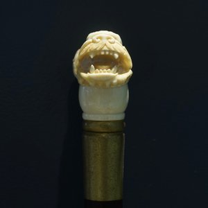 A Chinese carved ivory and wood walking stick or cane with a dragon's head, 19th C. — 照片 3