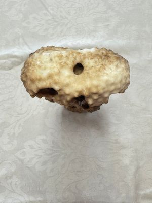 A Chinese carved jade model of a scholar's rock, 20th C. — photo 5