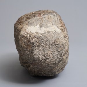 A Chinese carved limestone head of Buddha, Northern Wei (386-535) — 照片 6