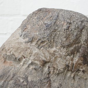 A Chinese carved limestone head of Buddha, Northern Wei (386-535) — 照片 15