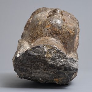 A Chinese carved limestone head of Buddha, Northern Wei (386-535) — 照片 7