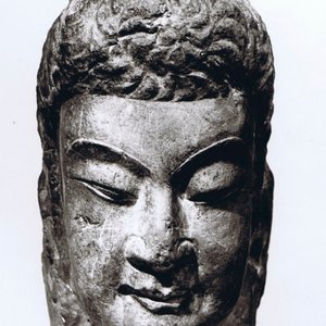 A Chinese carved limestone head of Buddha, Northern Wei (386-535) — 照片 8