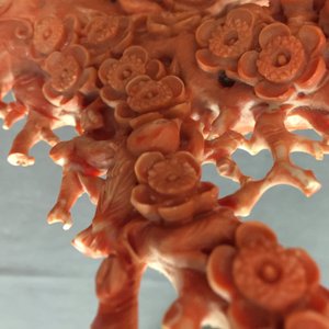 A Chinese carved red coral 'blossom tree' group on inlaid wooden stand, 19/20th C. — photo 13