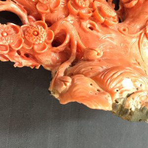 A Chinese carved red coral 'blossom tree' group on inlaid wooden stand, 19/20th C. — photo 8