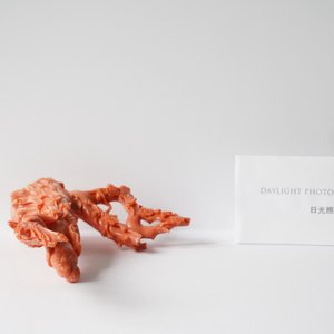 A Chinese carved red coral group of a lady with a bird, 19/20th C. — photo 9