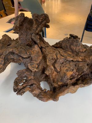A Chinese carved wooden group and a natural root sculpture, 20th C. — photo 3