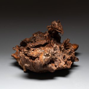A Chinese carved wooden group and a natural root sculpture, 20th C. — photo 11