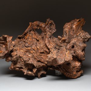 A Chinese carved wooden group and a natural root sculpture, 20th C. — photo 12