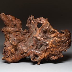 A Chinese carved wooden group and a natural root sculpture, 20th C. — photo 13