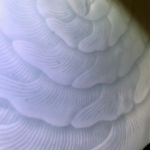 A Chinese celadon chrysanthemum plate, Qianlong mark and of the period — photo 8