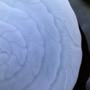 A Chinese celadon chrysanthemum plate, Qianlong mark and of the period — photo 9