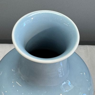 A Chinese claire-de-lune vase with floral relief design — 照片 9