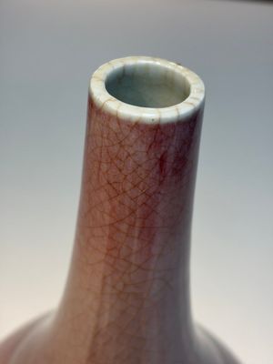 A Chinese copper-red-glazed bottle vase, 18/19th C. — photo 10