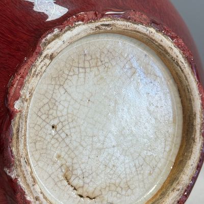 A Chinese copper-red-glazed bottle vase — photo 14