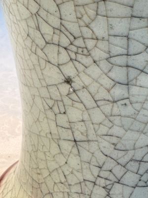 A Chinese crackle-glazed vase, 19th C. — photo 6