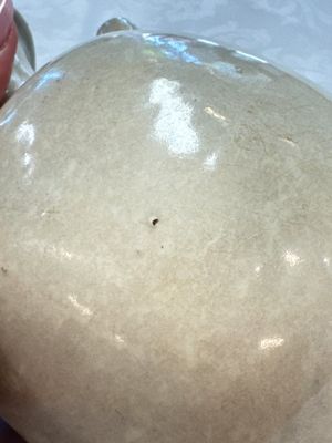A Chinese cream-glazed ewer with a barrel-shaped body, Hebei/Henan provinces, Tang/Five Dynasties — photo 15