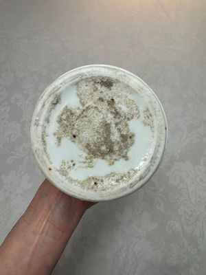 A Chinese Dehua blanc de chine 'Gu' vase, 19th C. — 照片 14